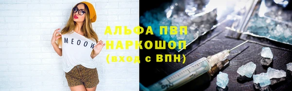 прущая мука Вяземский