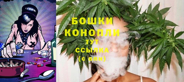 МДПВ Вязьма