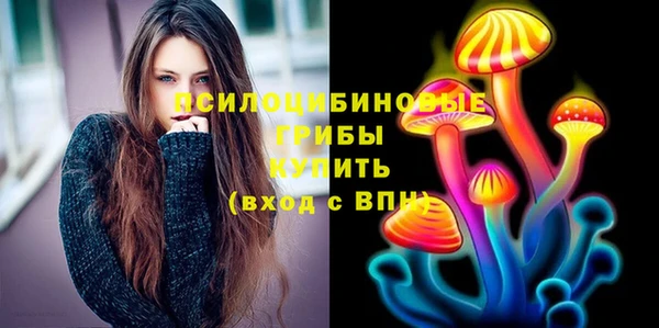 прущая мука Вяземский